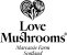 Love Mushrooms